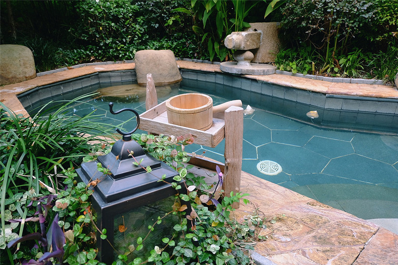 游园赏花品美食,游园赏景快乐游玩