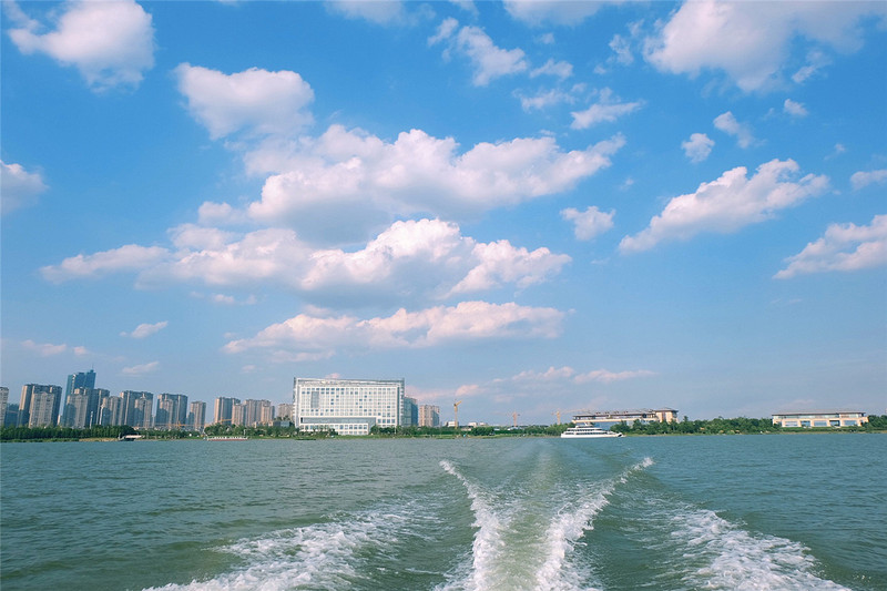 游园赏花品美食,游园赏景快乐游玩