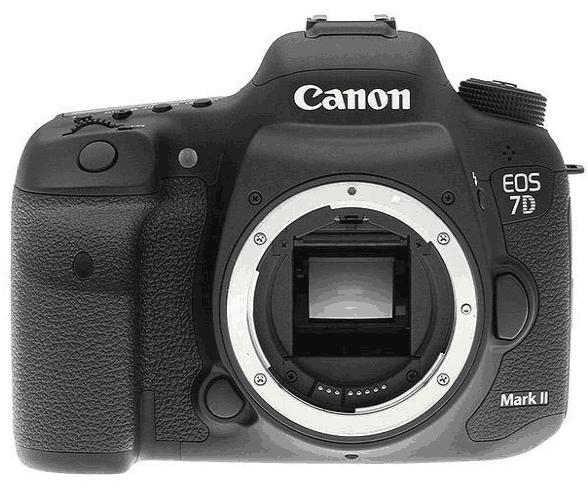 佳能7dmarkii评测：出色的图像质量和出色的爆发速度！