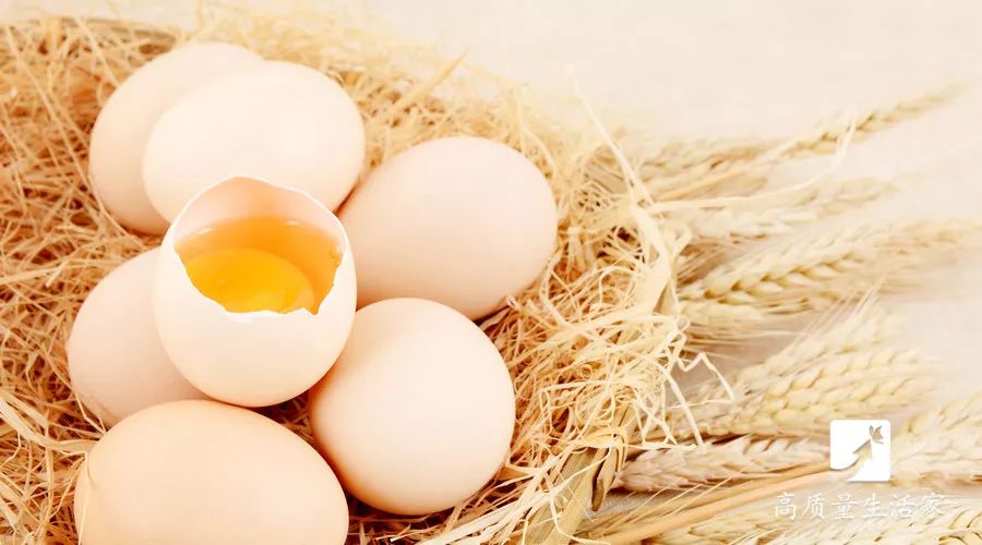 吃了十几年鸡蛋才知道对鸡蛋过敏,吃了这么多年的鸡什么鸡最好吃