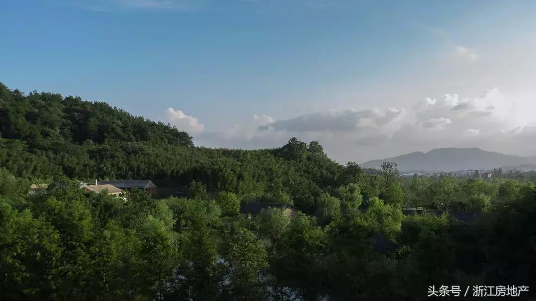 莫干山的“谿”字田又熟了，133㎡精装小独栋也来了！静绝尘氛！