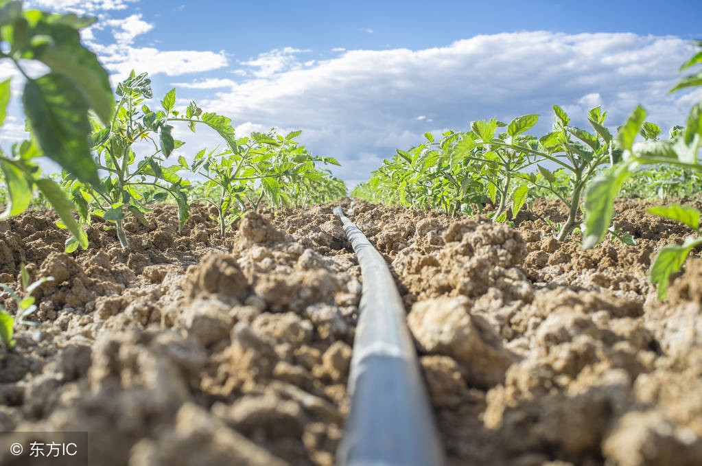 高效节水灌溉技术发展的必要性,高效节水灌溉方式及其优缺点