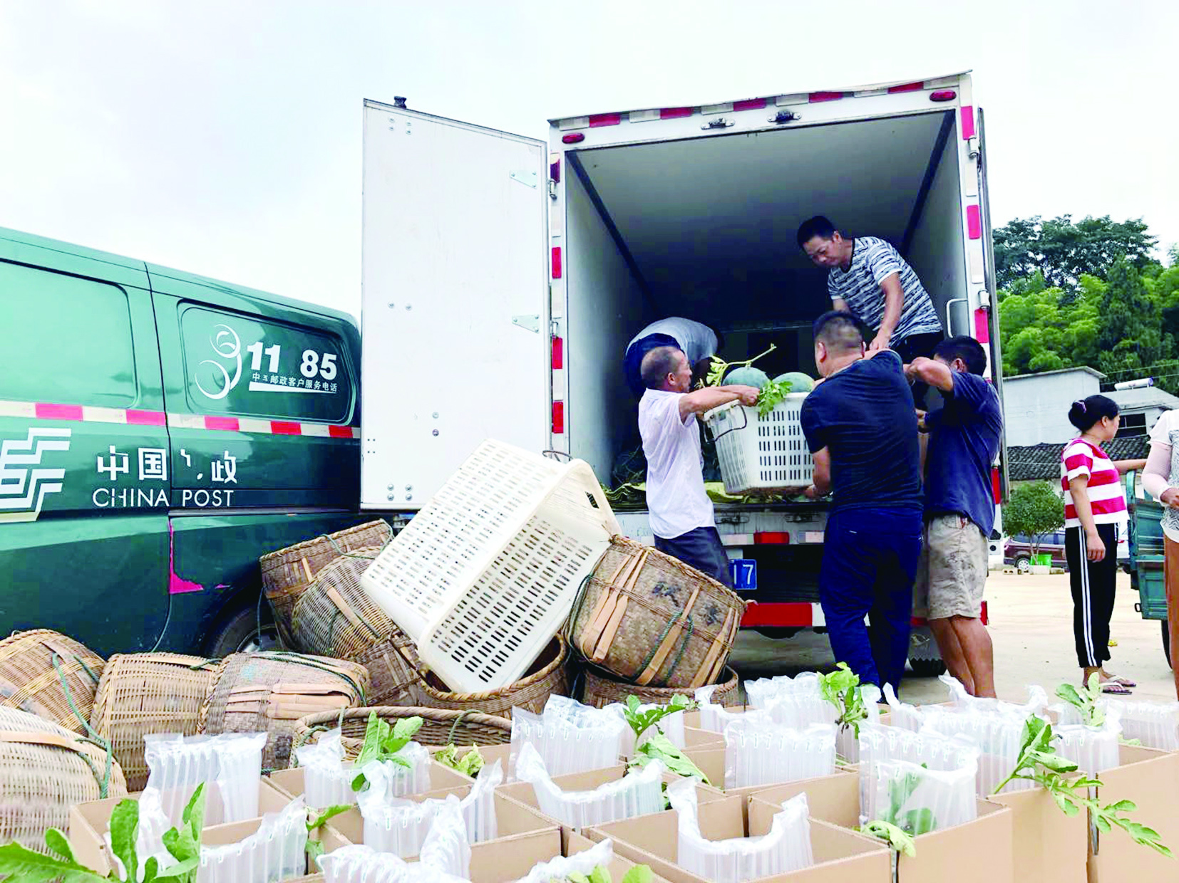 电商扶贫乡村振兴,电商扶贫助力农民生活