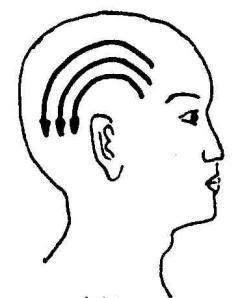 中医刮痧疗法二十一穴,张秀勤教你中医刮痧之面部刮痧