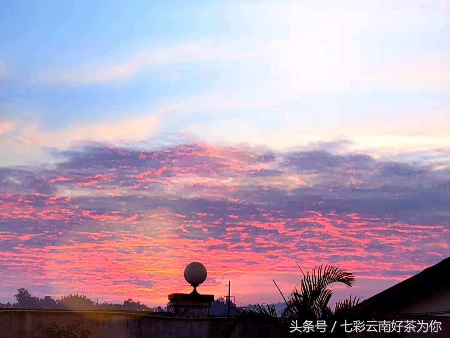 七彩云南经典茶,七彩云南普洱茶制作过程