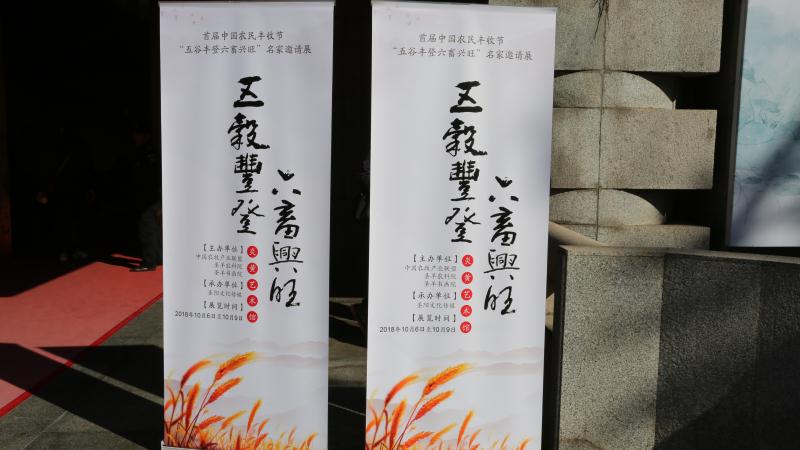 最美不过五谷丰登,丰收与艺术的邂逅!