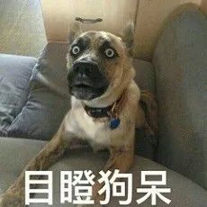 日本比较好用的药膏,扒一扒好用的日系护肤