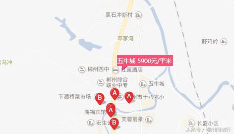 郴州五牛城2栋和4栋的位置,郴州五牛城进度