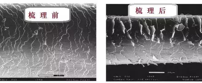 头发干枯毛躁是用发膜还是护发素,头发干枯毛躁用什么牌子护发素好