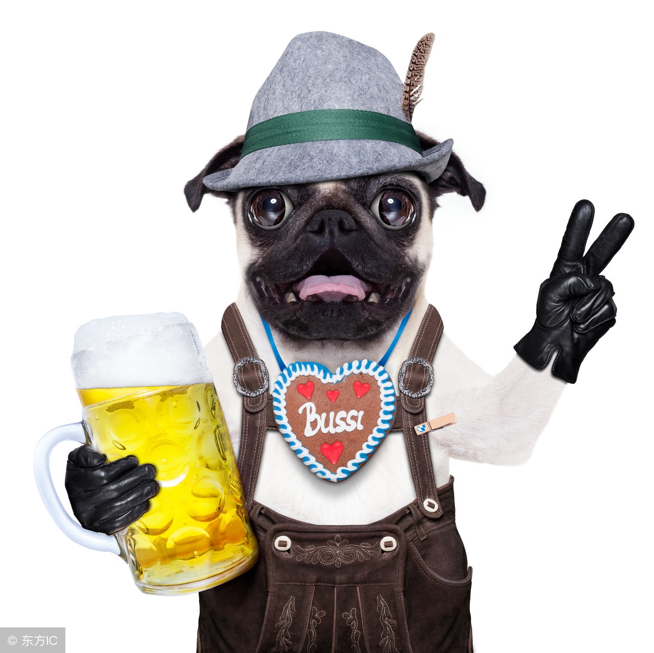 一起了解被忽略的一些冷知识,教给大家一个没用的冷知识