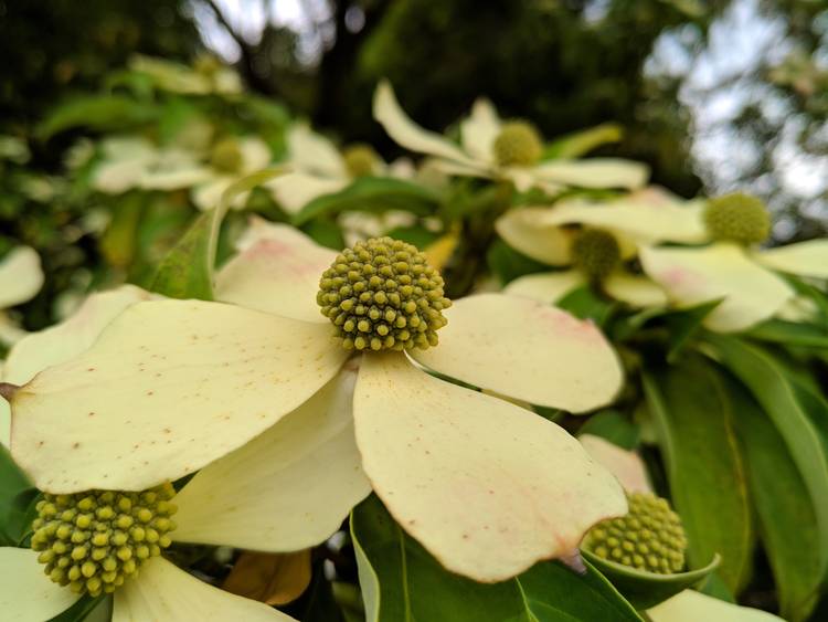 360手机n7pro测评,360n7pro跟哪款手机对比功能