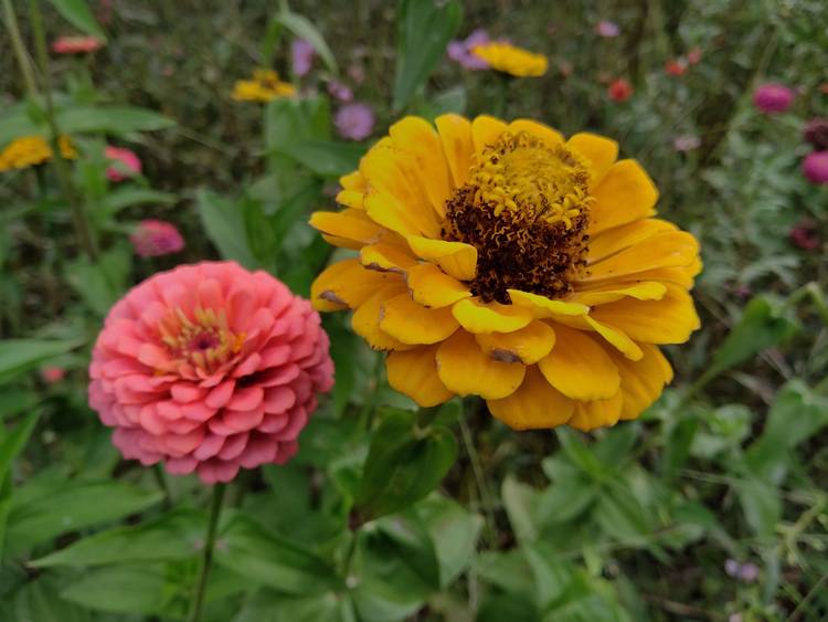 360手机n7pro测评,360n7pro跟哪款手机对比功能