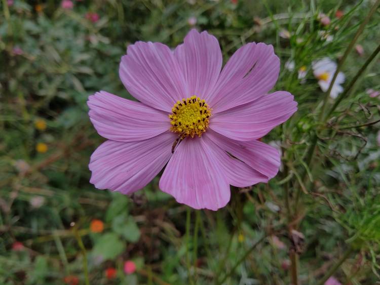 360手机n7pro测评,360n7pro跟哪款手机对比功能