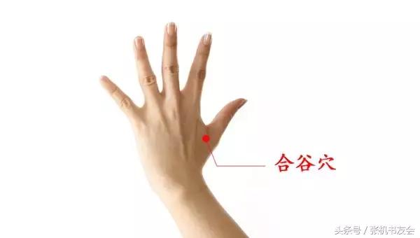 道家练气养生法,道家秘而不传的奇经八脉