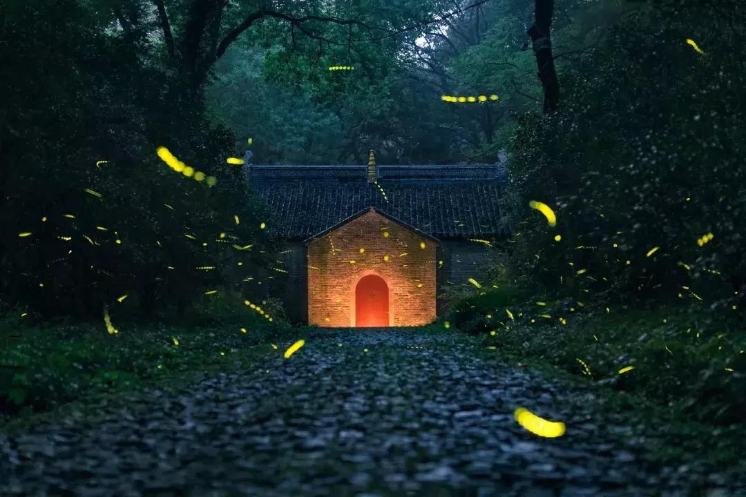 佳能50d60d70d80d价格,佳能50d60d70d80d90d相机的选择