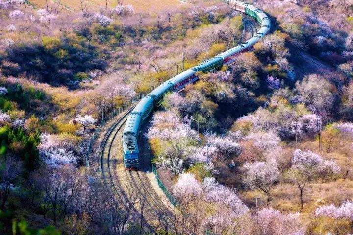 佳能50d60d70d80d价格,佳能50d60d70d80d90d相机的选择