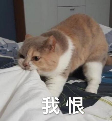 95开头的推销诈骗电话,95开头的推销电话哪儿来的