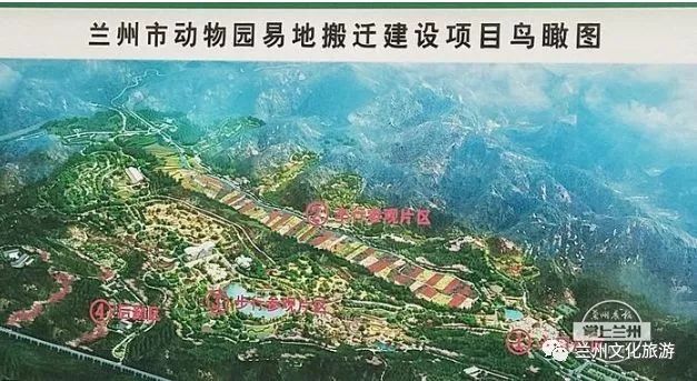兰州哪里能看大熊猫,兰州能看大熊猫吗