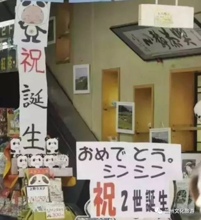 兰州哪里能看大熊猫,兰州能看大熊猫吗