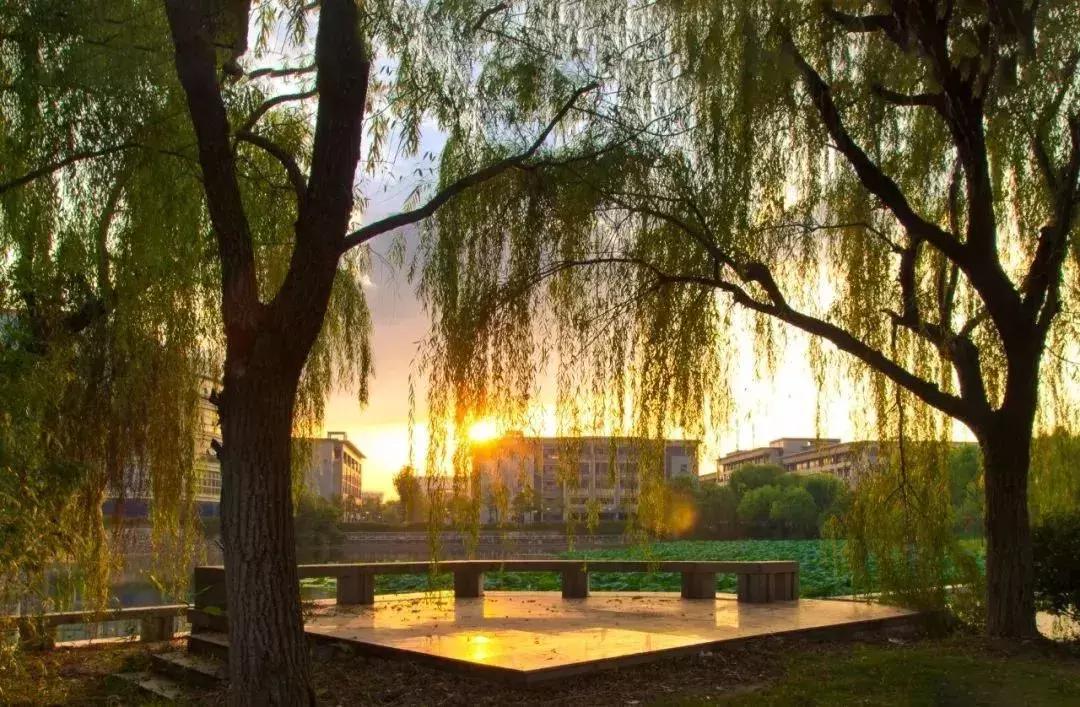 神一样的大学！南京邮电大学要说第二，没人敢说第一了！