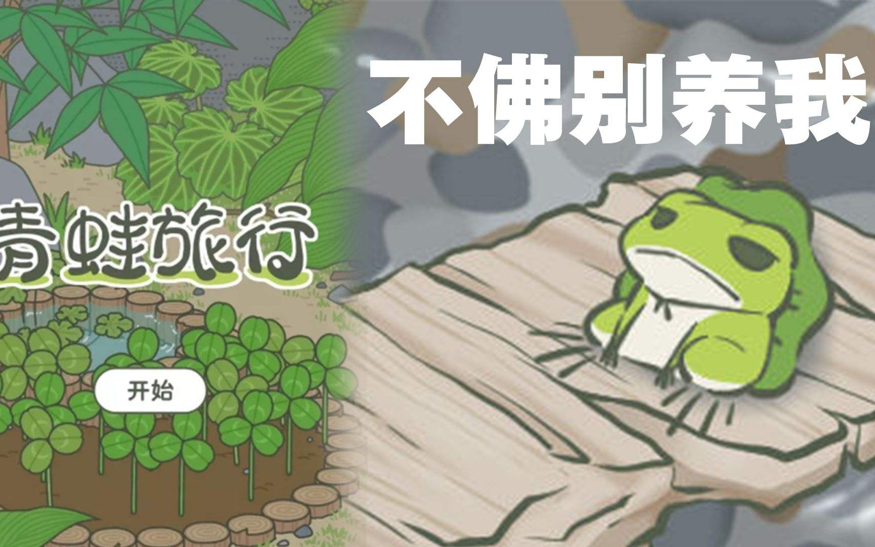 为什么那么多人喜欢佛系养蛙游戏,养蛙游戏风靡