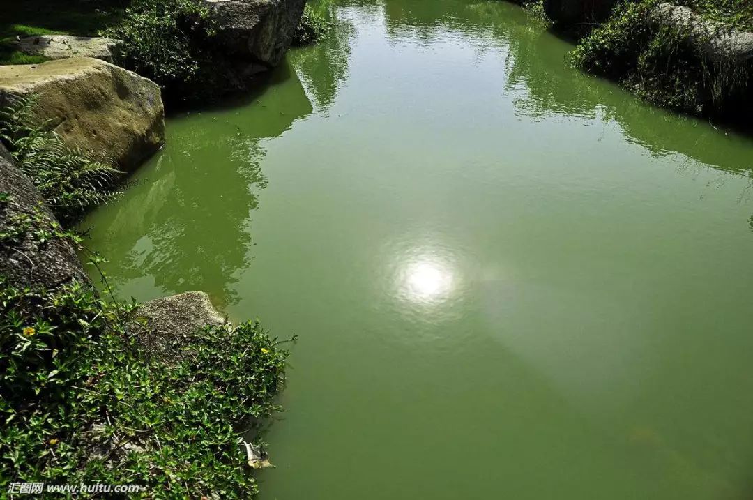 炉石天梯会变成什么样,炉石天梯环境变化