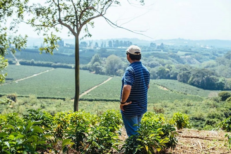 美极了！快来围观星巴克的“田园综合体”