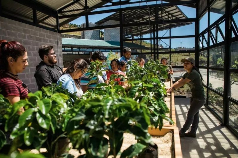 美极了！快来围观星巴克的“田园综合体”