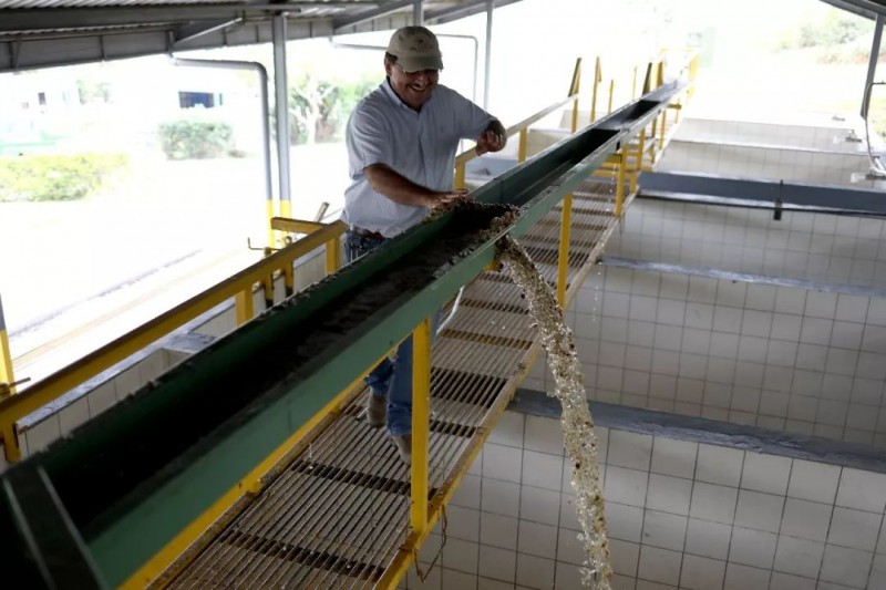 美极了！快来围观星巴克的“田园综合体”