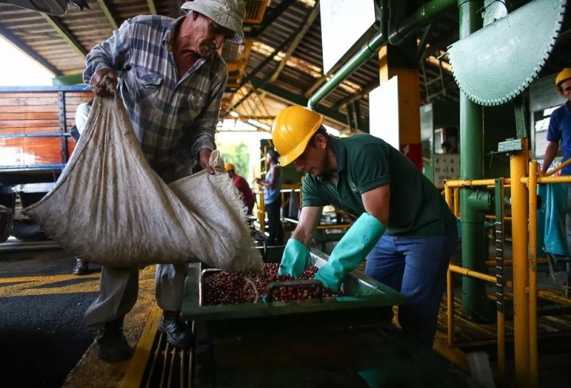 美极了！快来围观星巴克的“田园综合体”