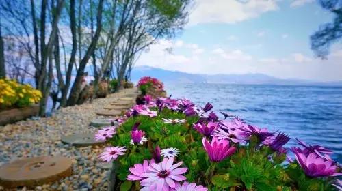 大理好看的民宿推荐,适合一个人去的大理民宿