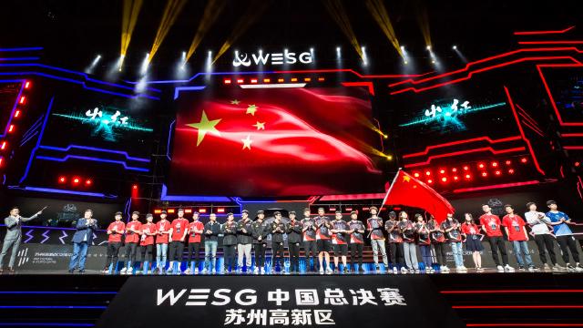 wesg全球总决赛,wesg2018全球总决赛