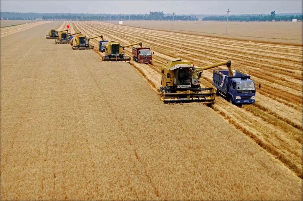 大局已定扭转乾坤,大局已定2020年中国梦实现