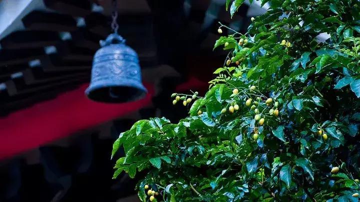 人死后去阴间的全过程,看醒了很多人!