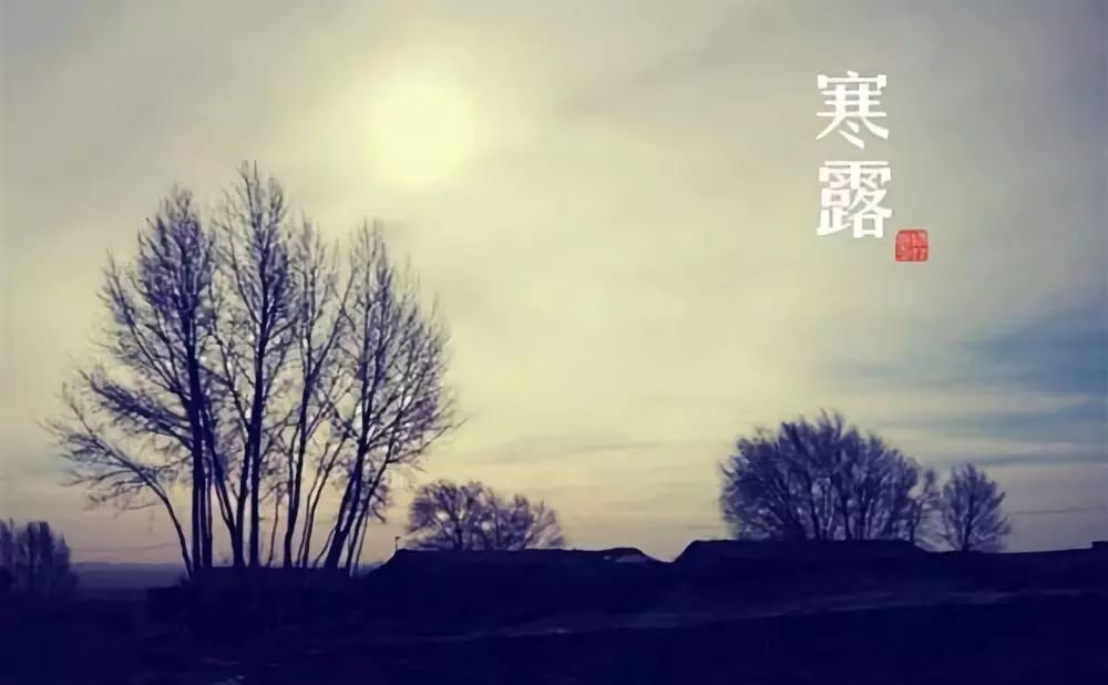 二十四个东林|披霜带露,添棉服,宜朵颐