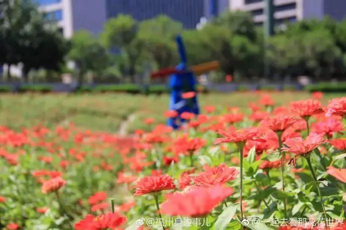 工资新标准将下发你在其中吗 (你的10月份工资条有啥新变化)