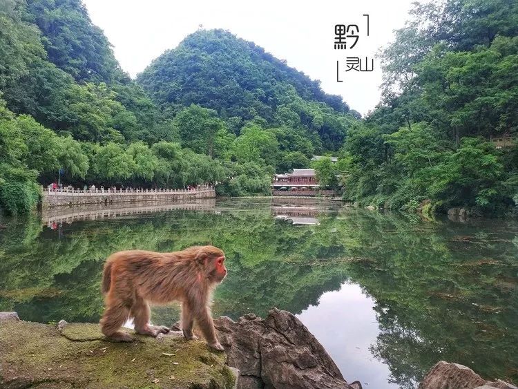 昆明航空今天所有航班,昆明航空最新消息