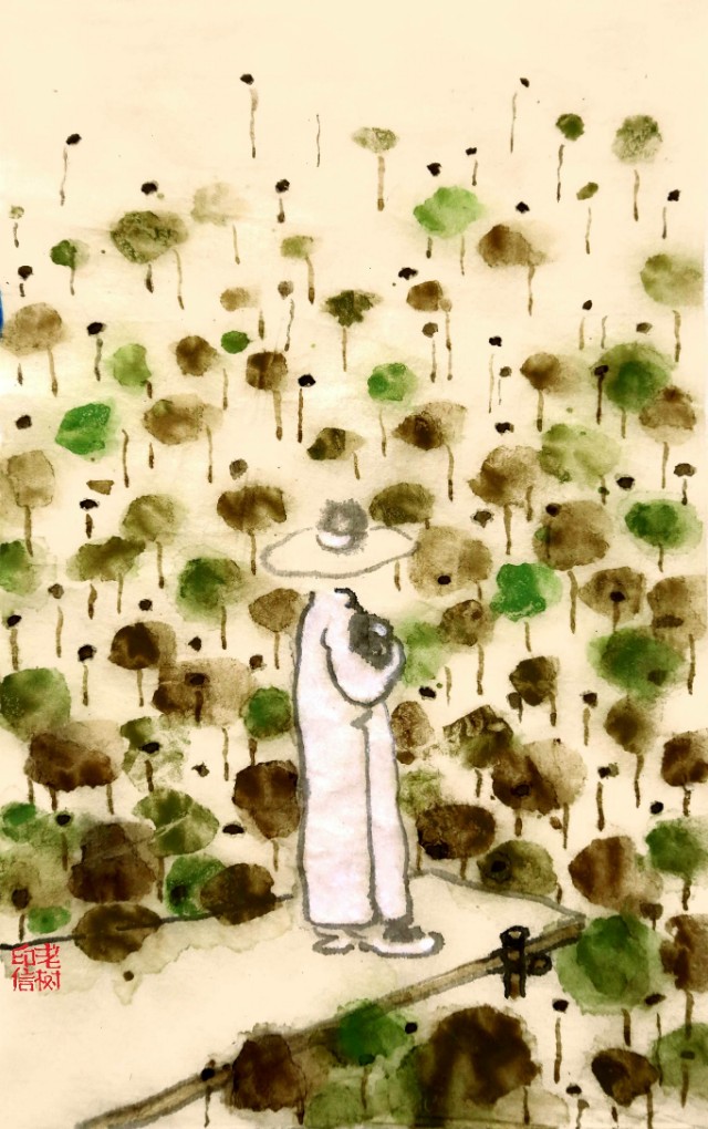 优秀古典诗词,古典诗词摘抄及感悟