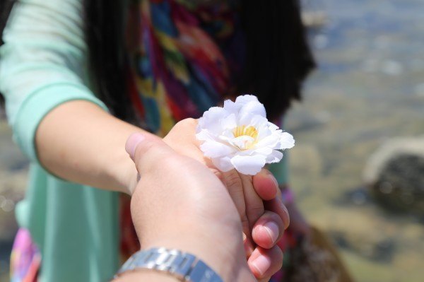 三亚旅游全攻略美食,三亚旅游美食攻略自由行