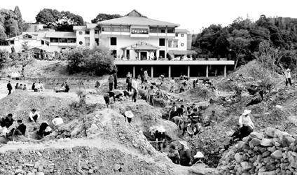 寿山石之荔枝冻,寿山石荔枝冻石特点