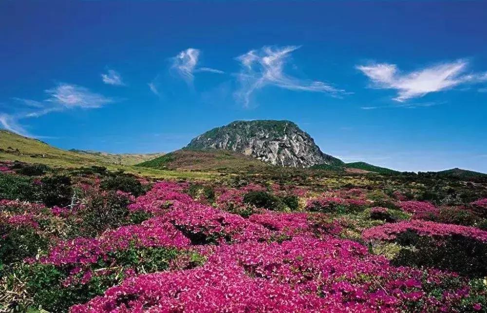 芽庄斯里兰卡济州岛,芽庄岛的景点