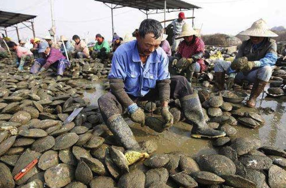 对外开放对我国经济建设的影响,对外经济开放地带