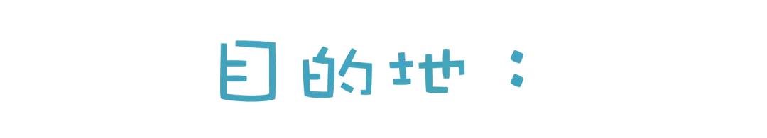 梦想插上竹蜻蜓，在书画的世界里来一场飞行之旅