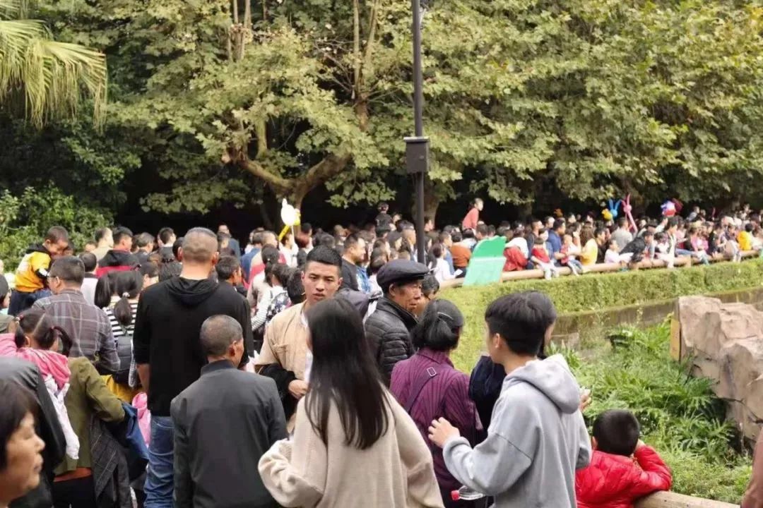 成华头条|耍、买、吃……这份黄金周账单已为你呈上!