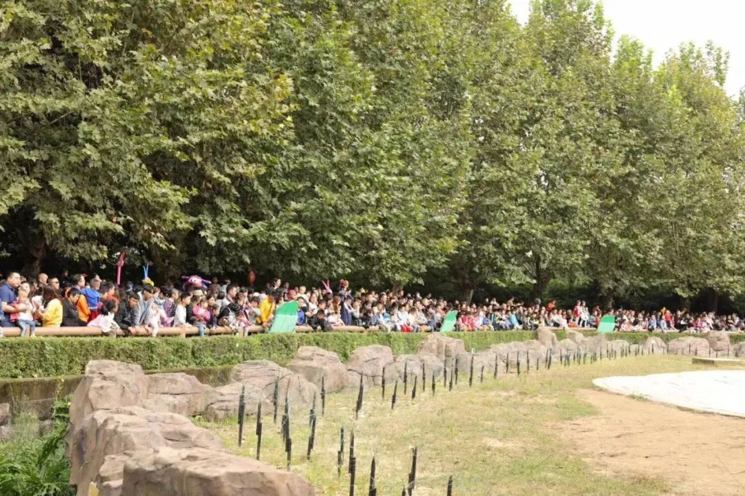 成华头条|耍、买、吃……这份黄金周账单已为你呈上!