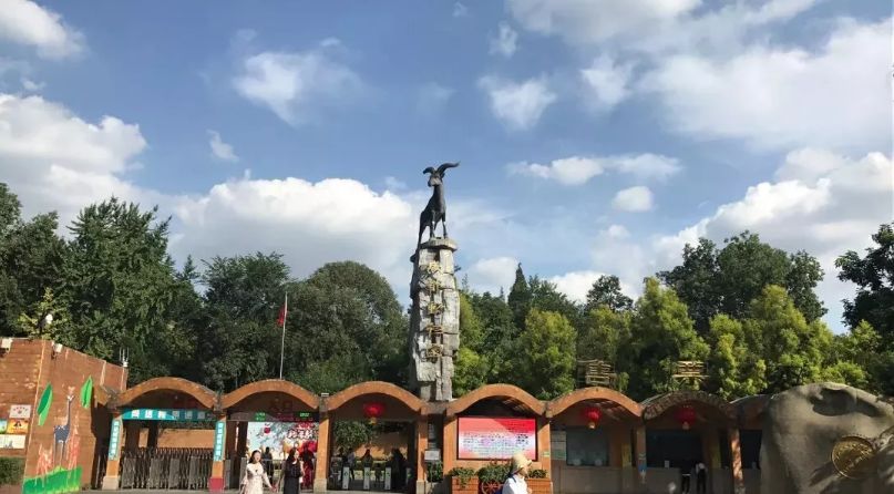 成华头条|耍、买、吃……这份黄金周账单已为你呈上!