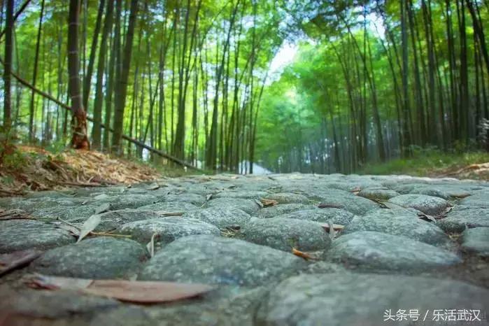 湖北公安县机场选址,湖北即将要建的机场