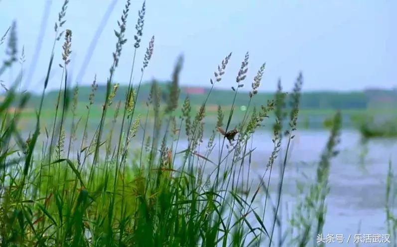 湖北公安县机场选址,湖北即将要建的机场