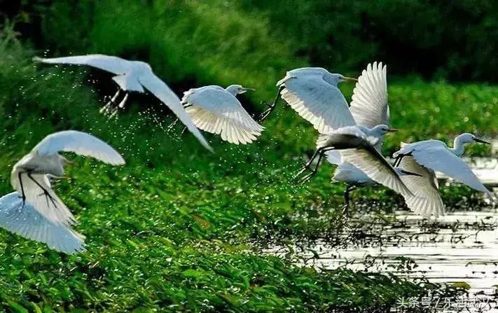 湖北公安县机场选址,湖北即将要建的机场