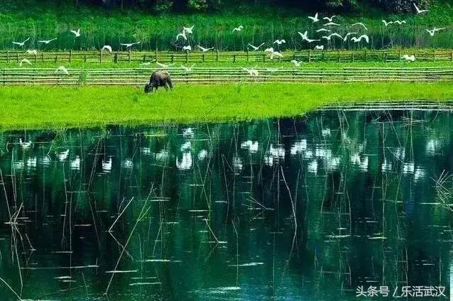 湖北公安县机场选址,湖北即将要建的机场